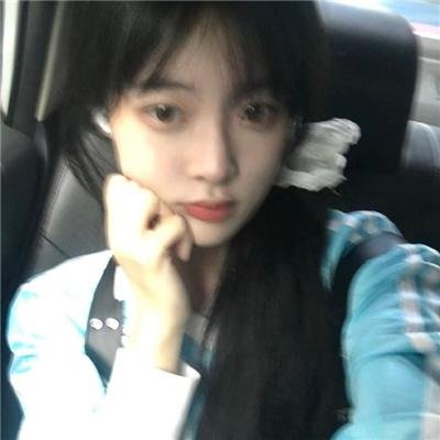 小海龟历险记2